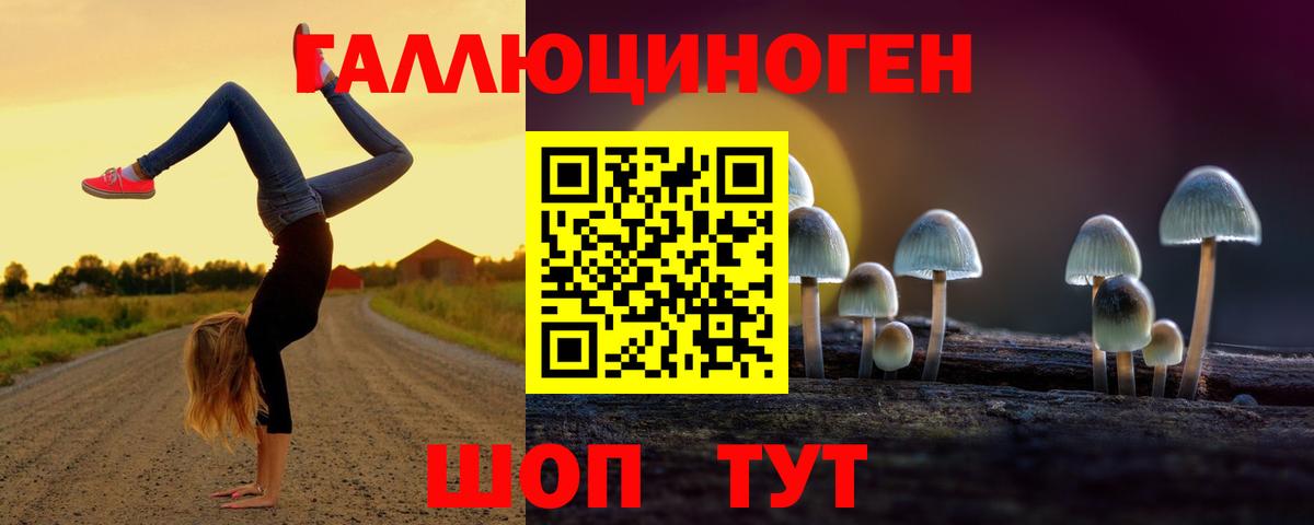 Псилоцибиновые грибы мицелий  Вход с VPN  Аргун 